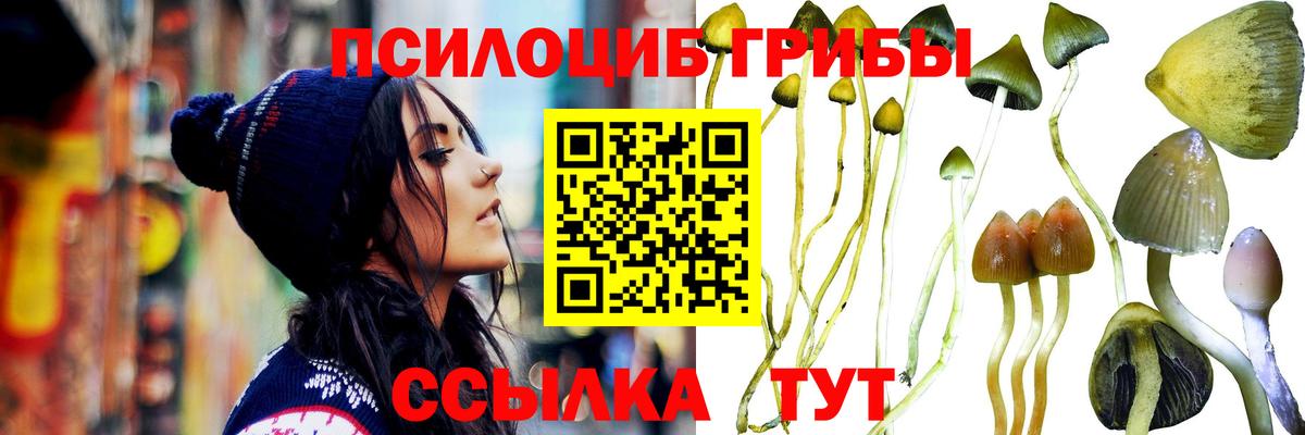 Псилоцибиновые грибы MAGIC MUSHROOMS Туймазы